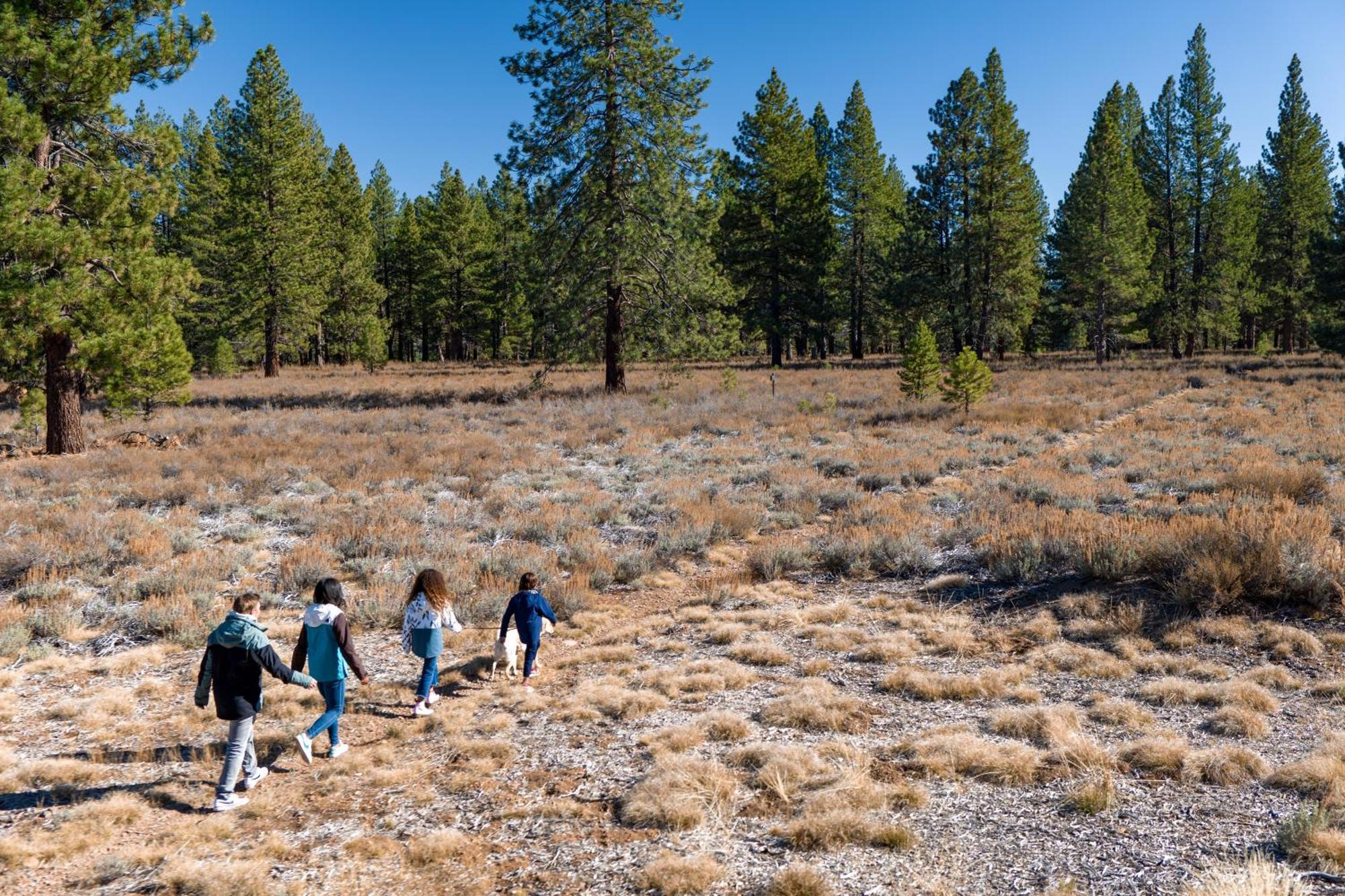 The Cottages - Golf, Pool, Play - 2-Bedroom Truckee Exteriér fotografie